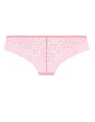 Brazyliany erin brief - 3