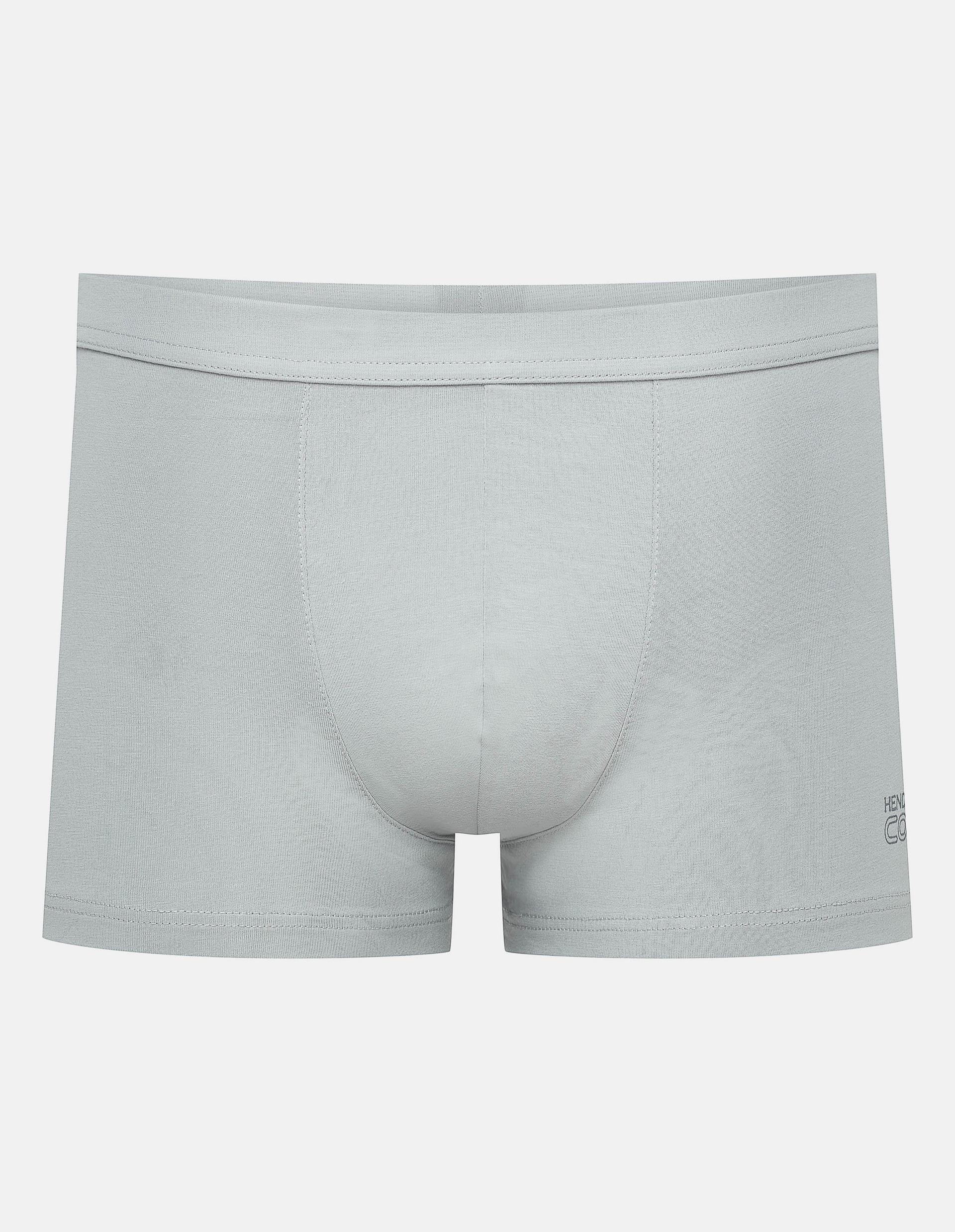 Boxers State light-grey 4