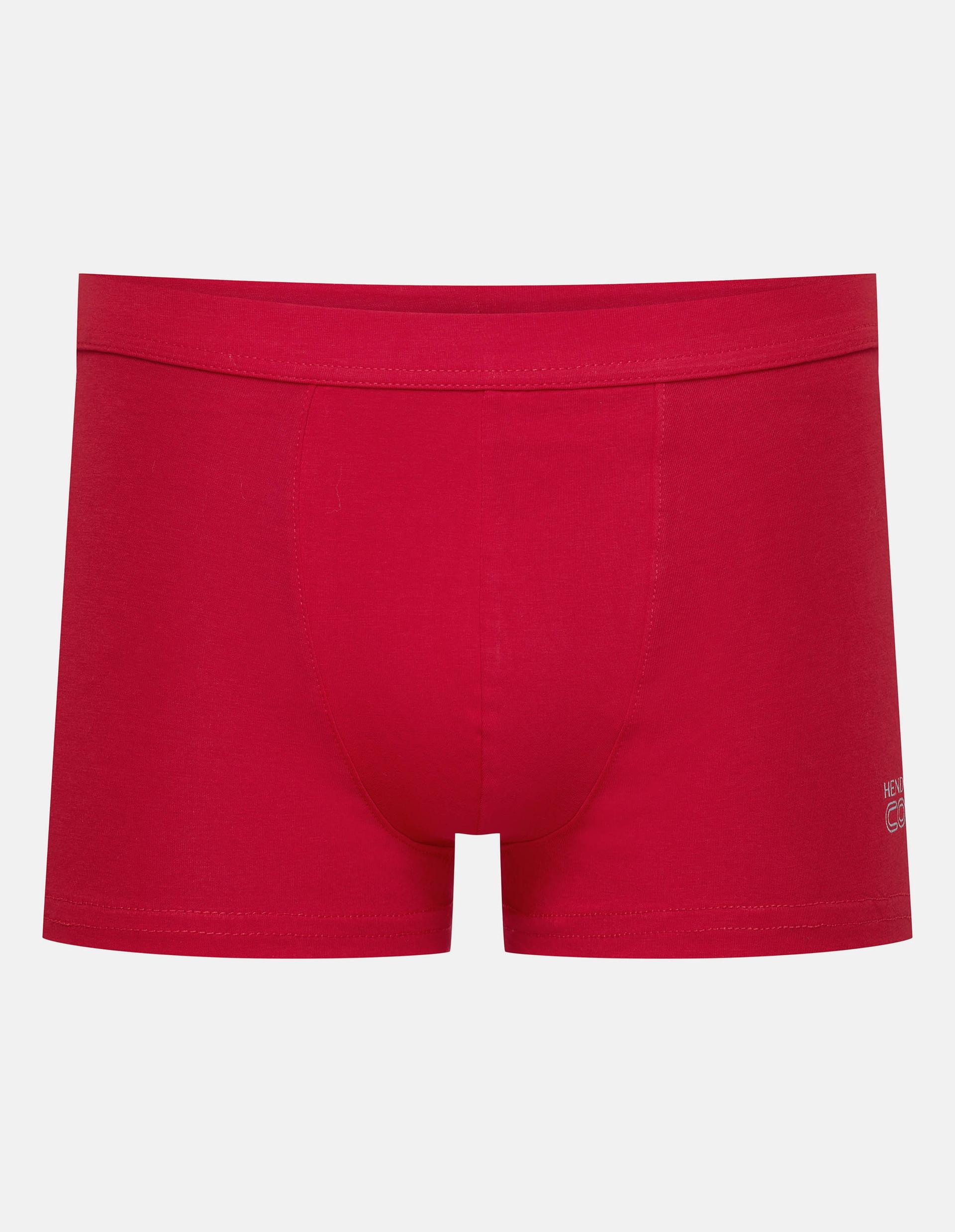Boxers State Red 4