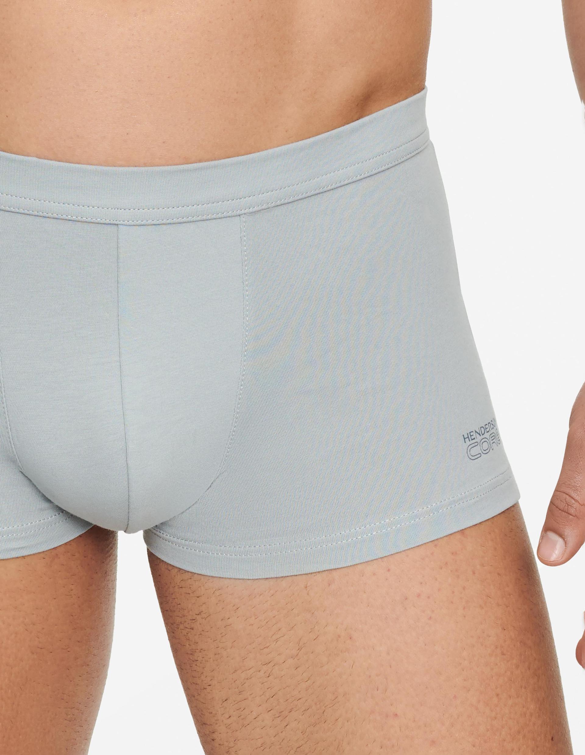 Boxers State light-grey 3
