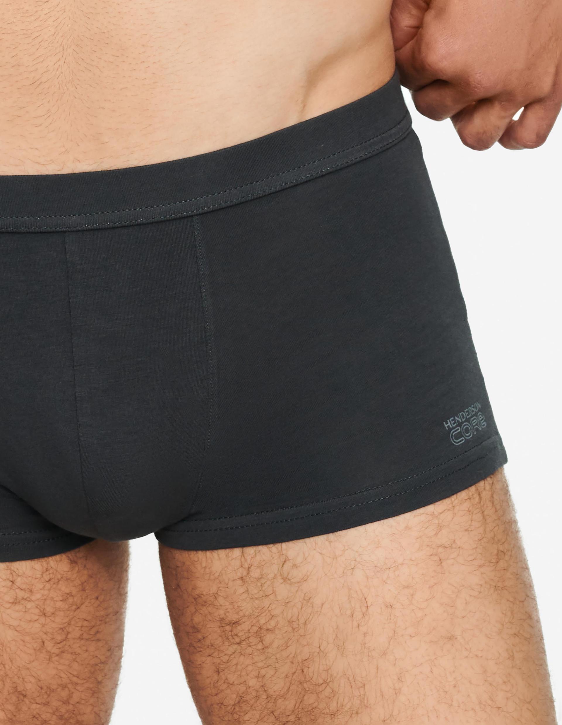 Boxers State Grey 3