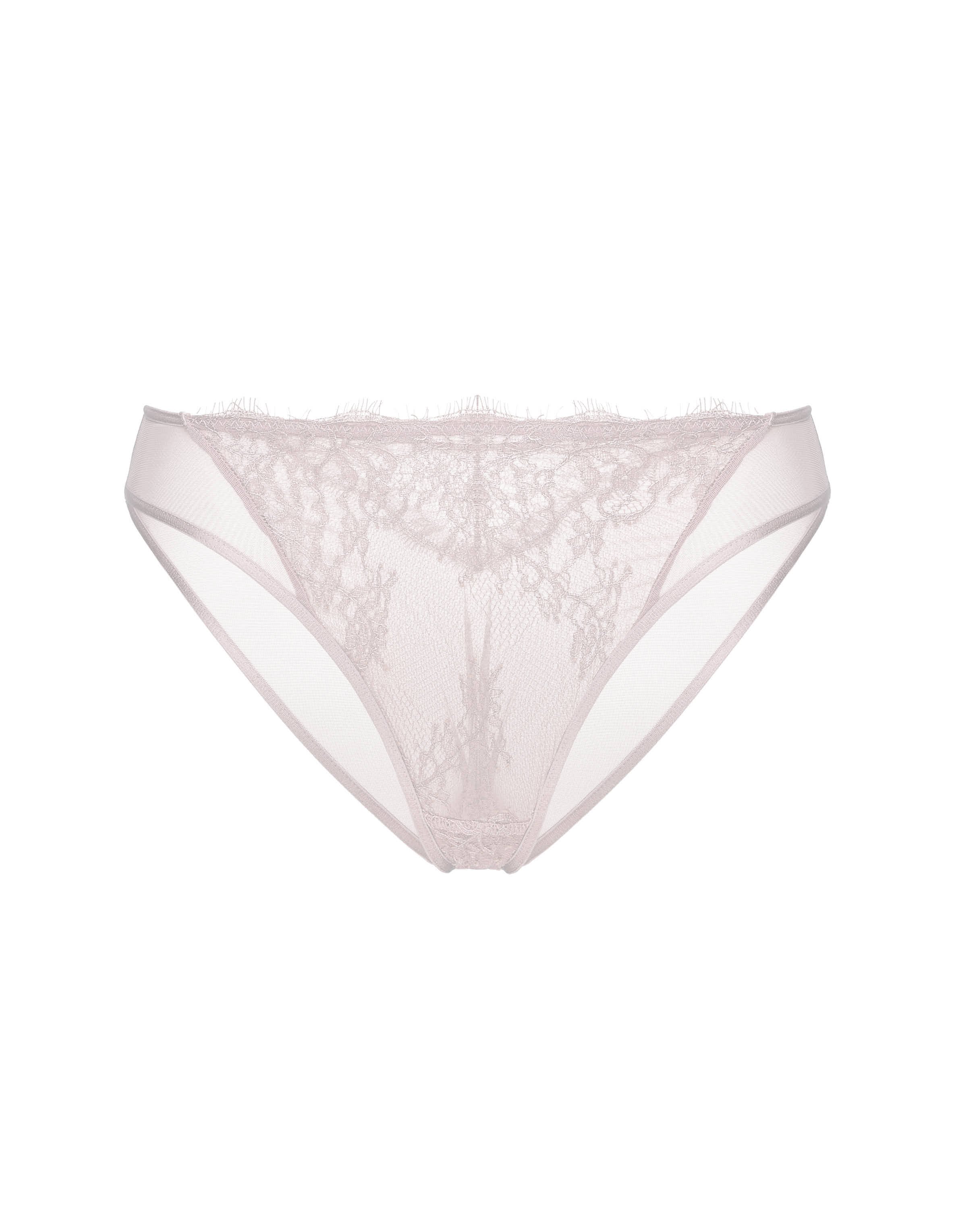 Martina Briefs with Lace Front and Mesh