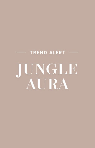 PRZEKŁADKA JUNGLE AURA 1