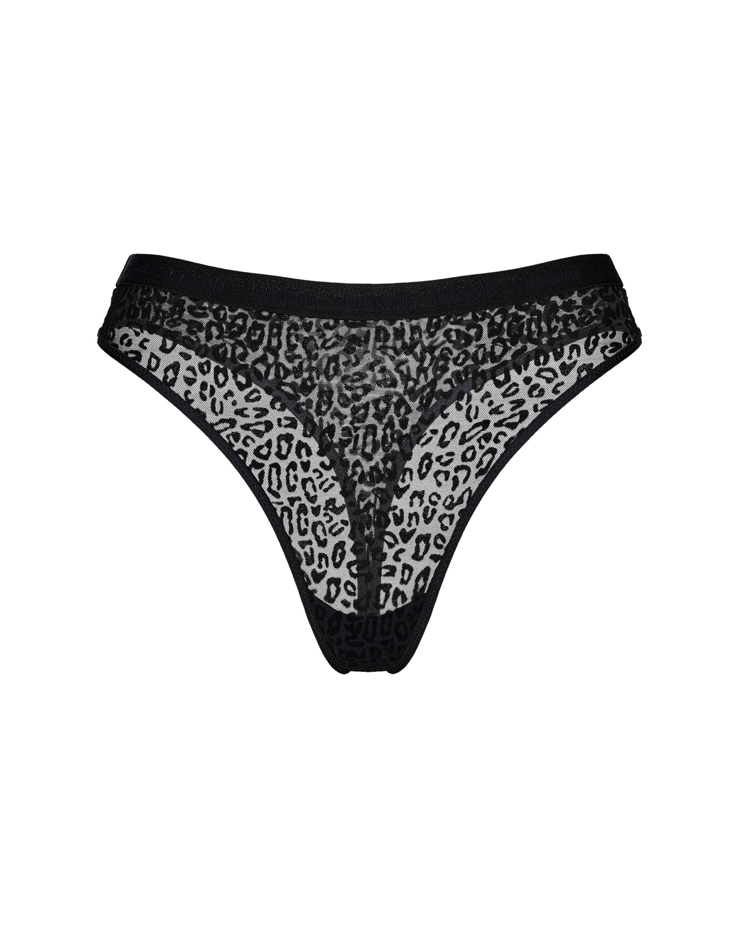 Stringi Bloovii Desire