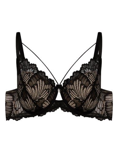 Padded bra Bari - Black