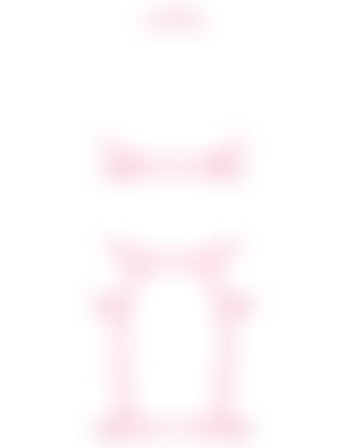 Harness Hot pink 7