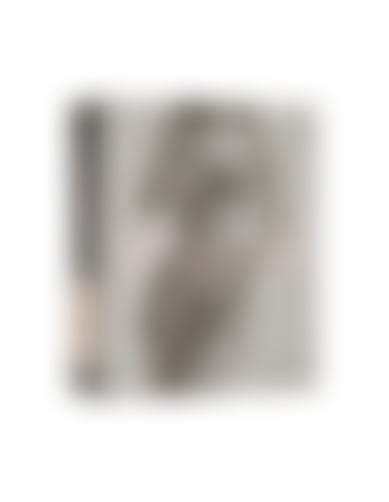 Упряж Hola Чорний 4