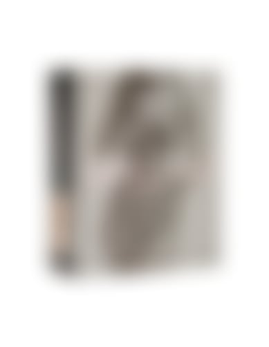 Harness Honey Violet 6