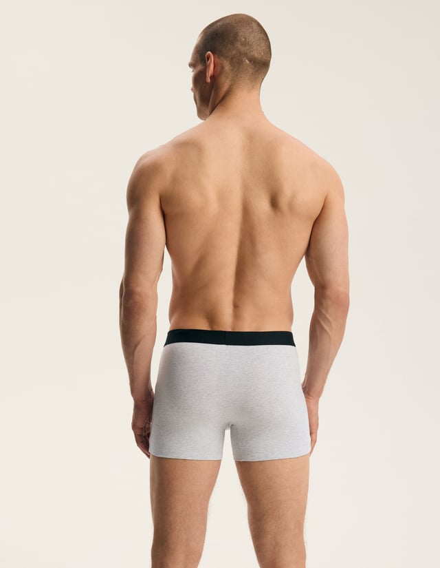 Cotton Boxer Briefs Twin Pack FADE - Multi