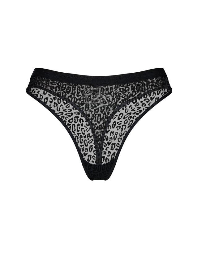 Stringi Bloovii Desire - Black