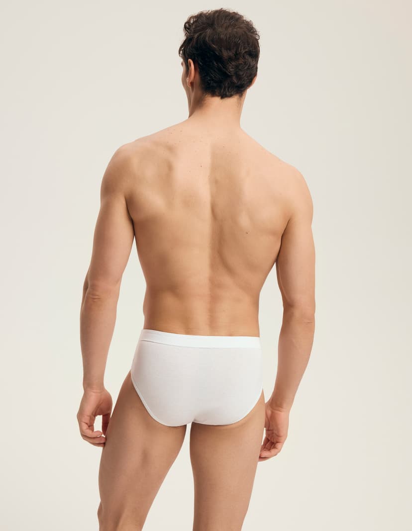 Briefs Classic 3-pack Multi 3