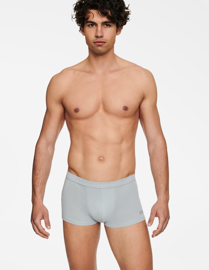 Boxers State Grey 2