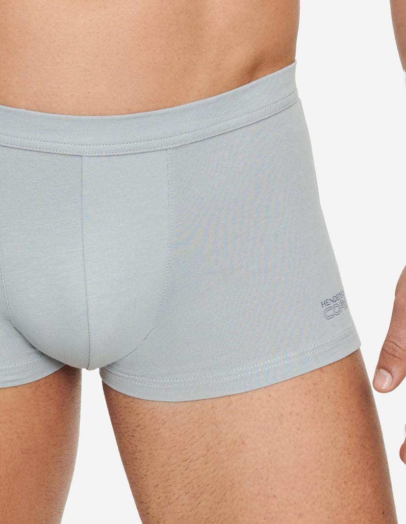Boxers State Grey 3