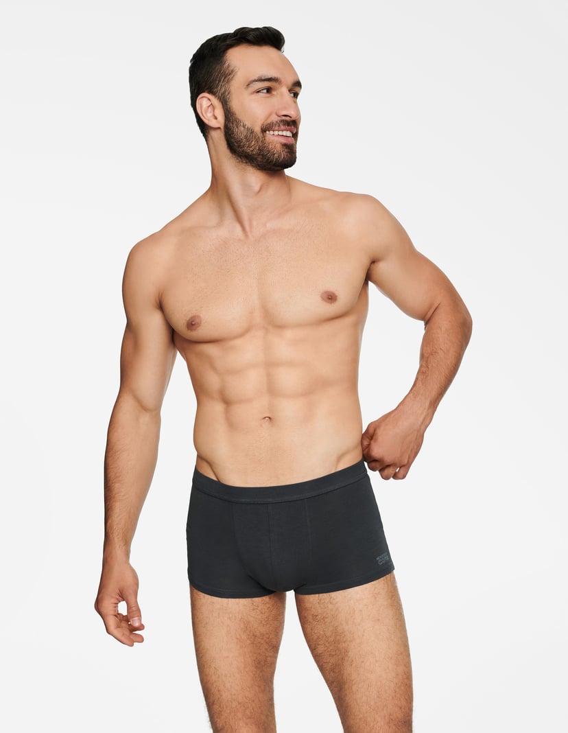 Boxers State Grey 1