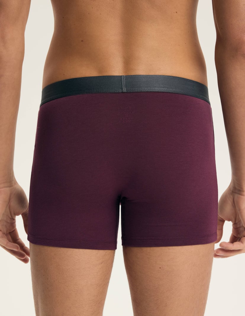 Boxer shorts Arch Multi 12