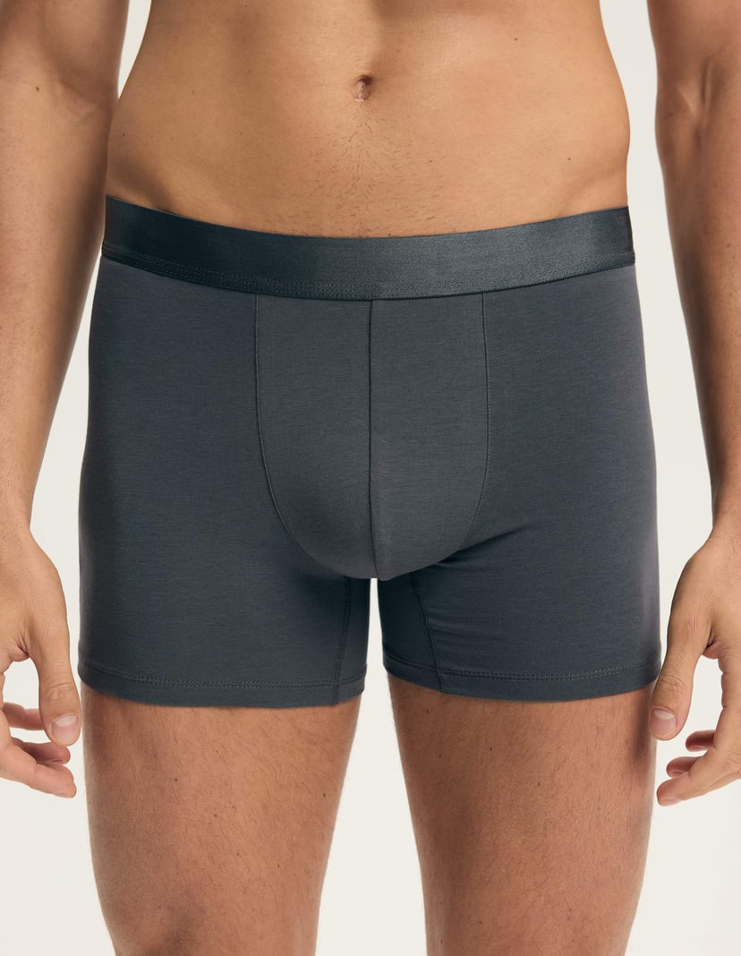 Boxer shorts Arch Multi 3