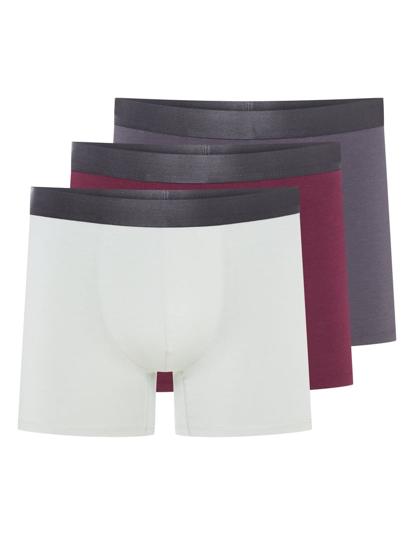 Boxer shorts Arch Multi 14