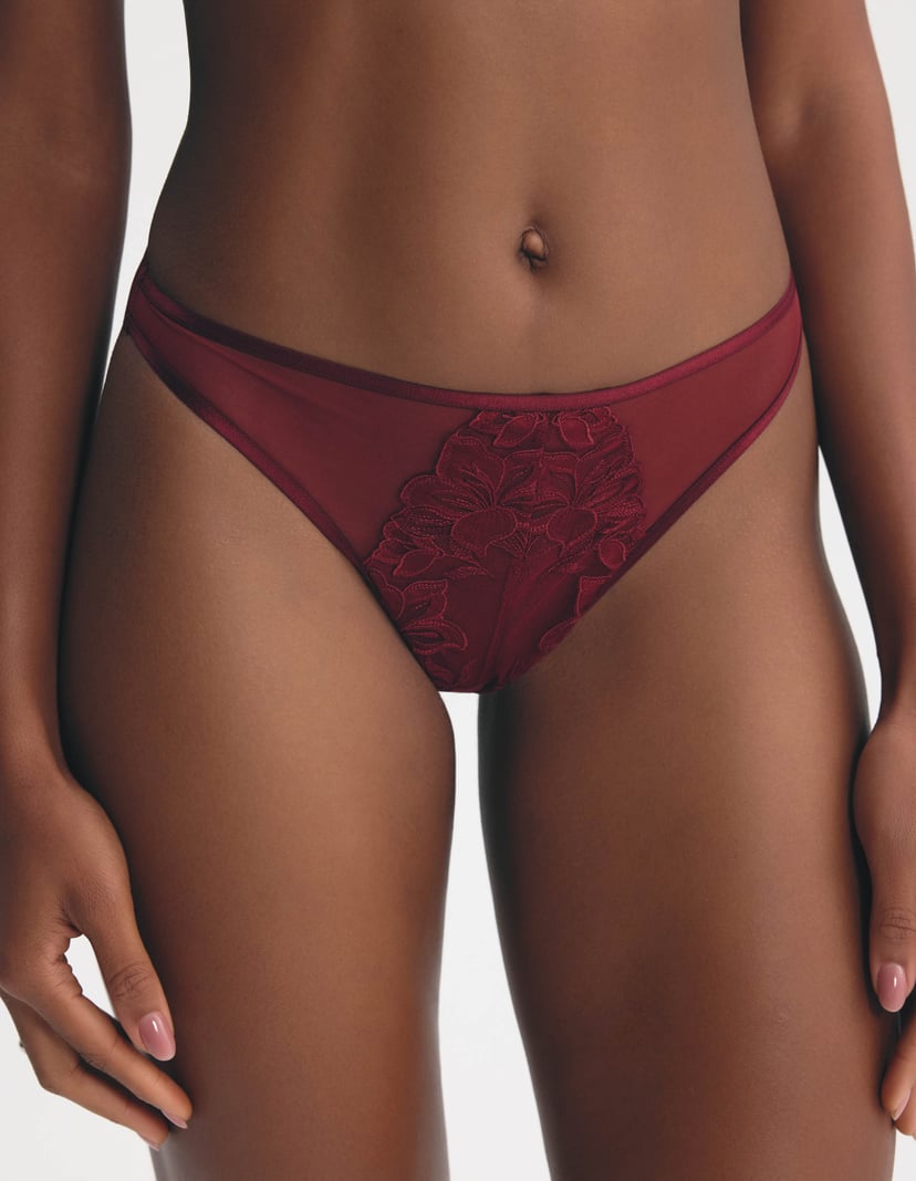 Moonlight Briefs with Embroidery on Tulle and Satin Shine Red 2
