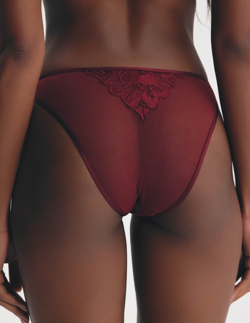 Moonlight Briefs with Embroidery on Tulle and Satin Shine Red 3