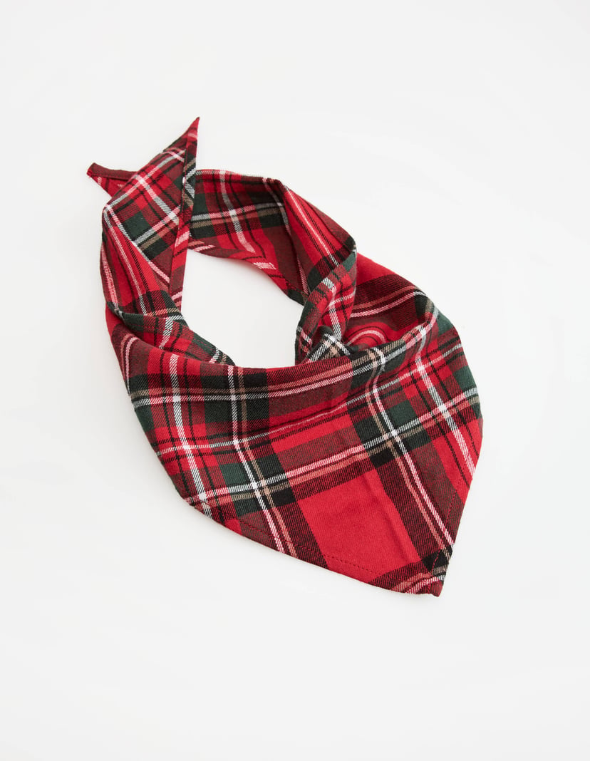 Pet Scarf SCARLETTE in Cotton Flannel Red 3