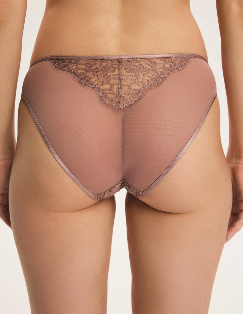Martina Briefs with Transparent Mesh brown 3