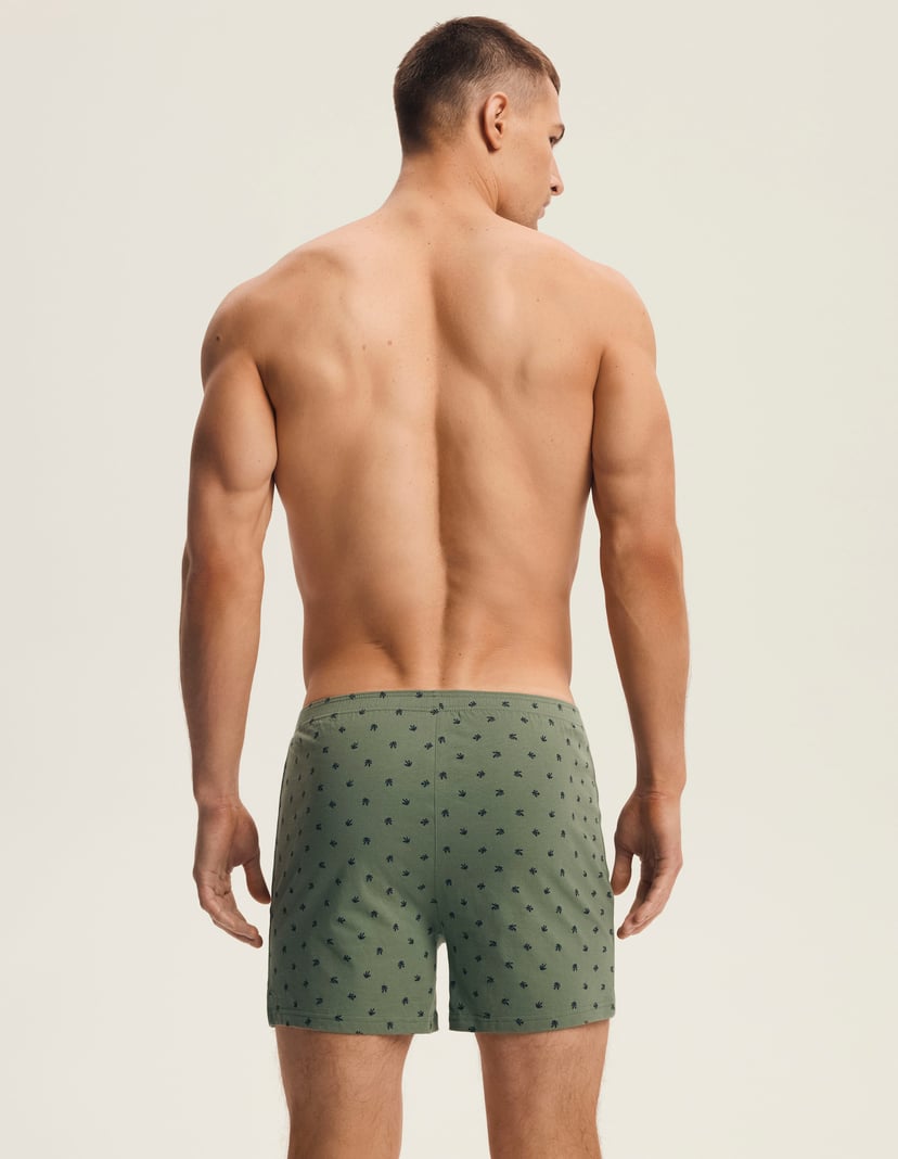 Boxers Classic Multi 4