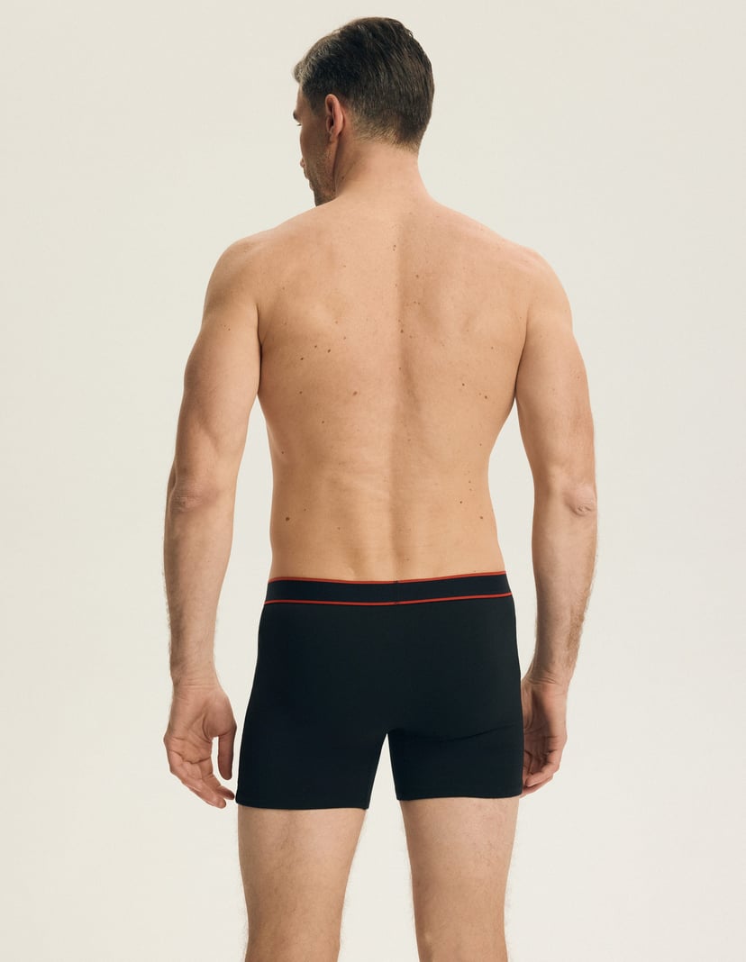 Boxers Bee Multi 8