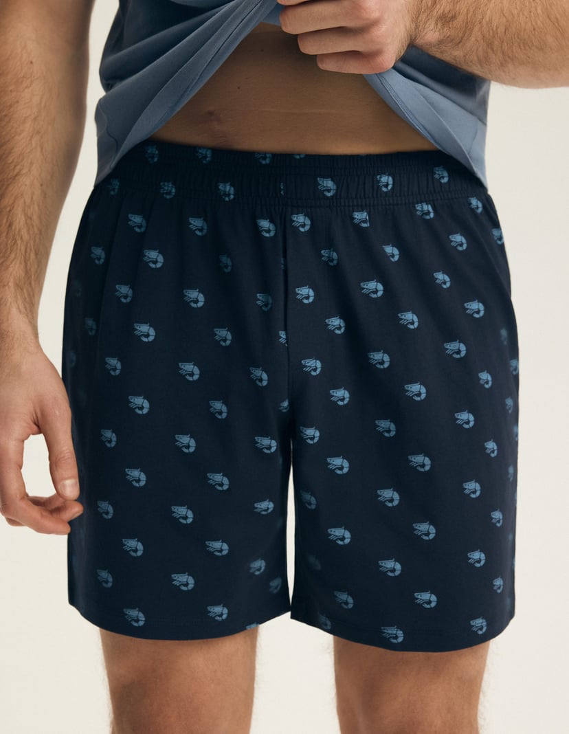 Pyjama Brad Blau 4
