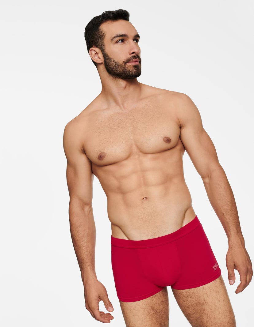 Boxers State Red 1