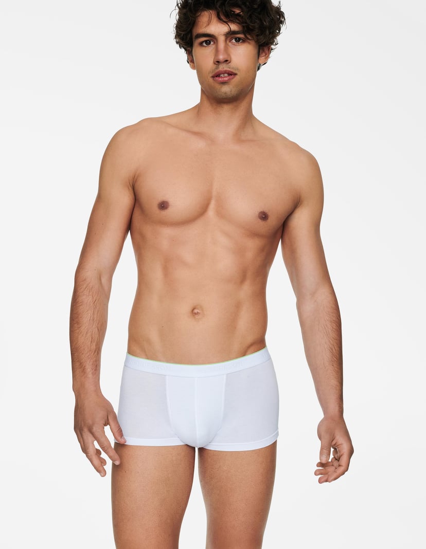 Boxers Graph Basic White 2