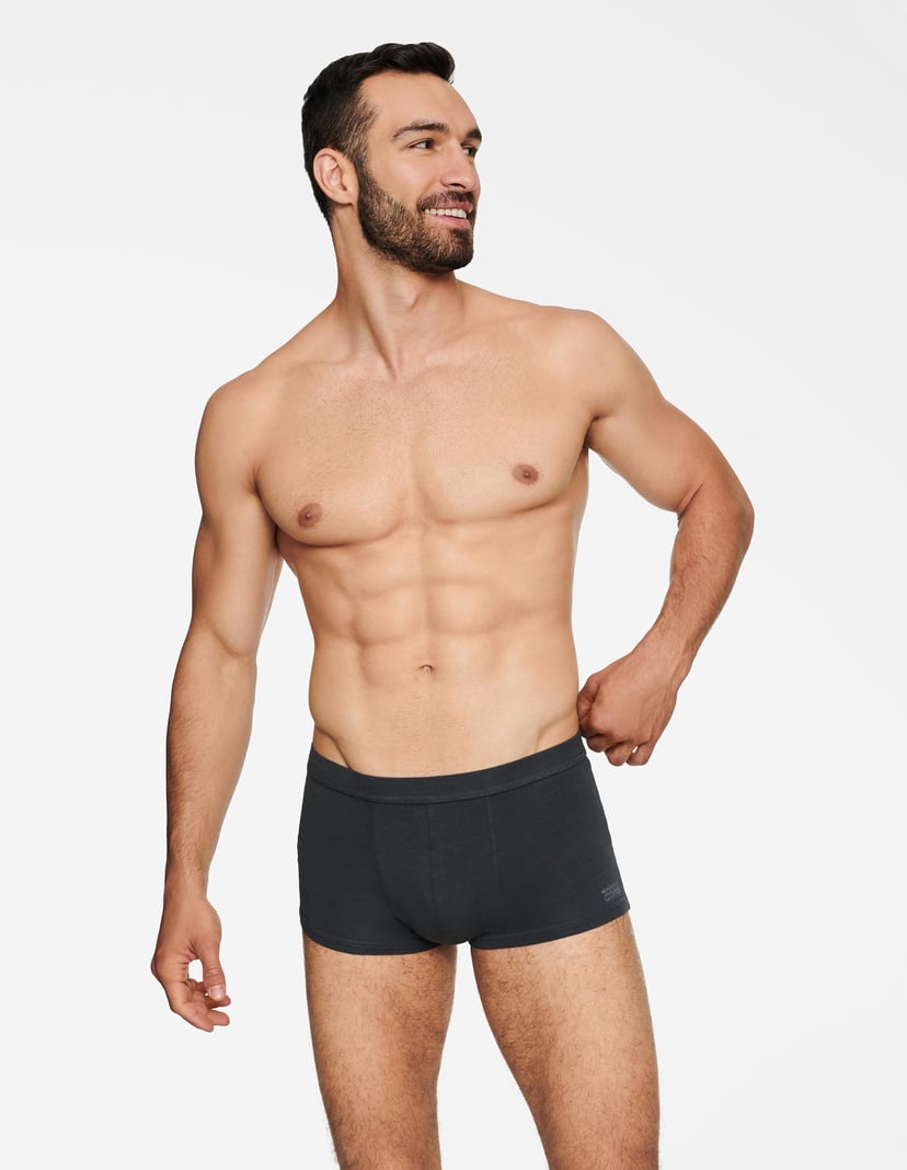 Boxers State Grey 1