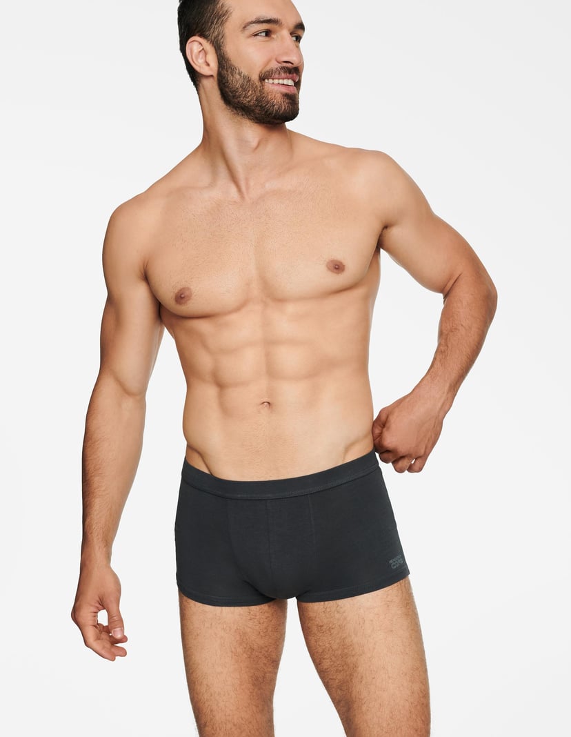 Boxers State Grey 2
