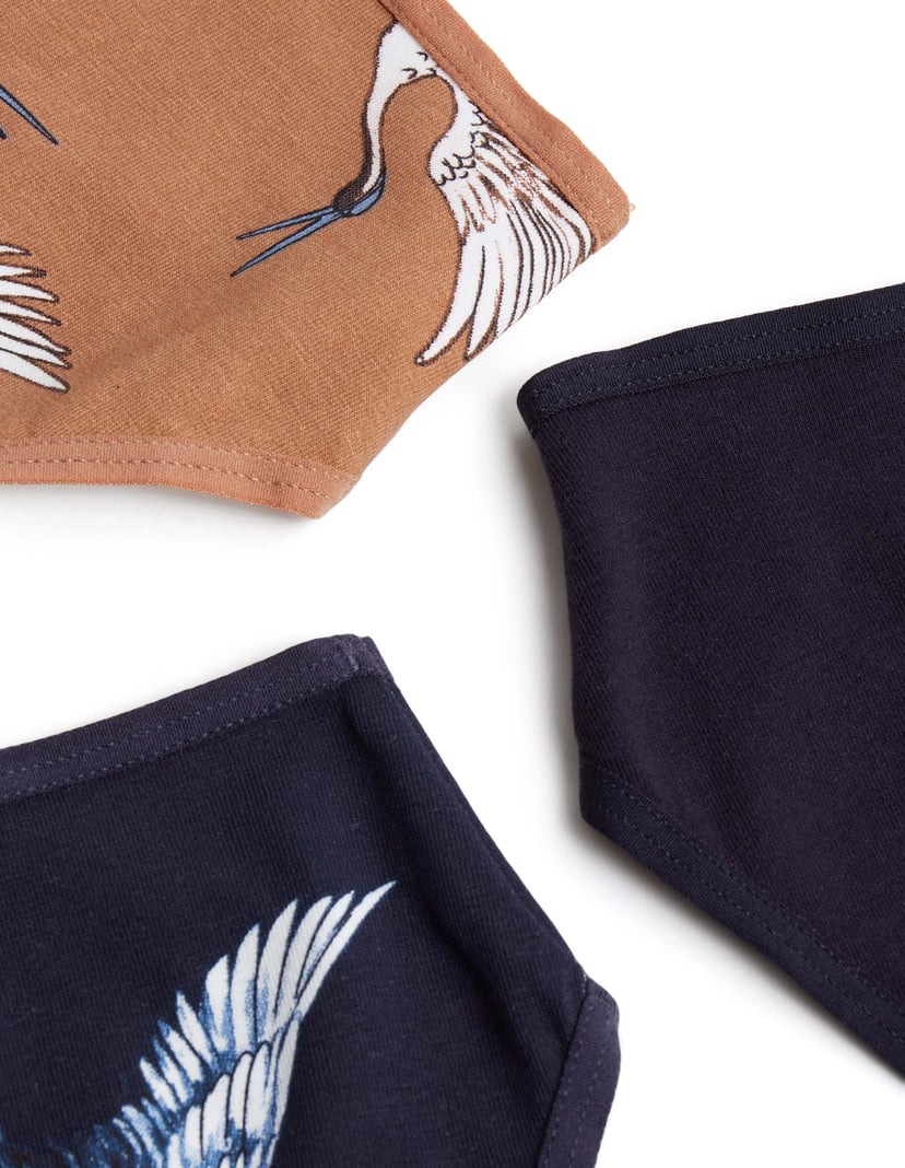 Panties Mia-Mia Multi 3