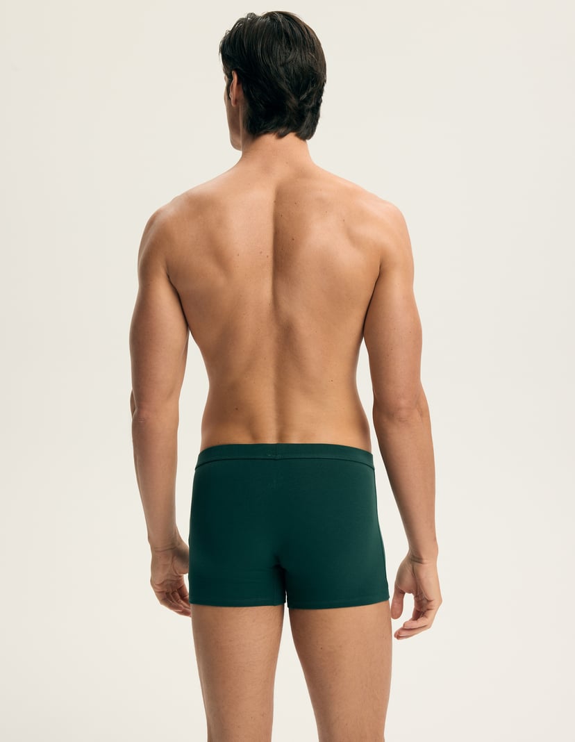 Bokserki Aegis (Trzypak) Мульти 4