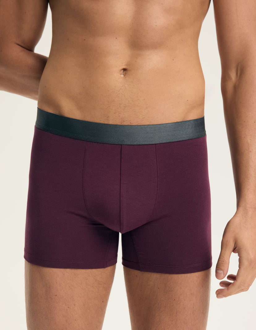 Boxer shorts Arch Multi 10