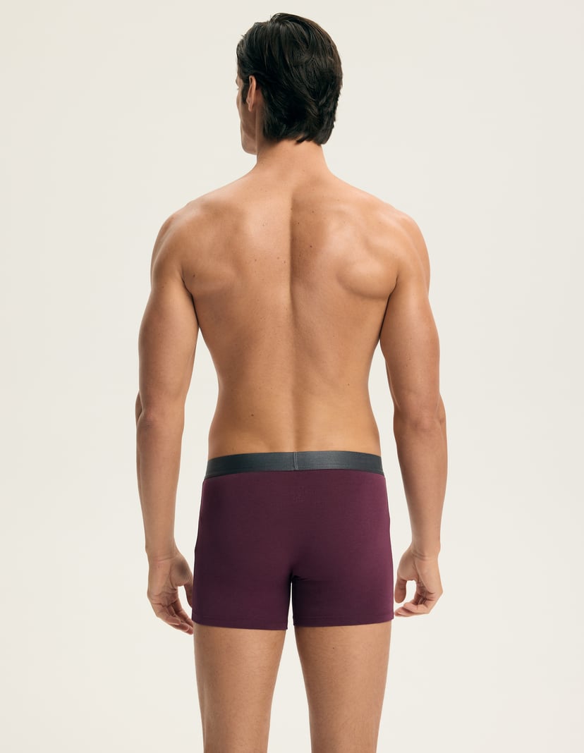 Boxer shorts Arch Multi 12