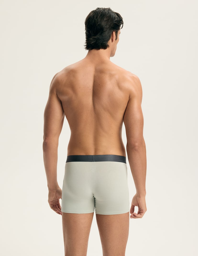 Boxer shorts Arch Multi 8