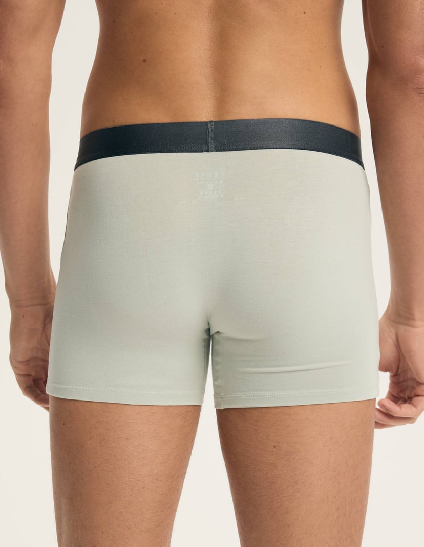 Boxer shorts Arch Multi 7