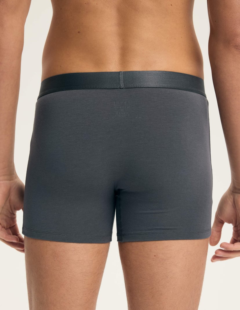 Boxer shorts Arch Multi 3