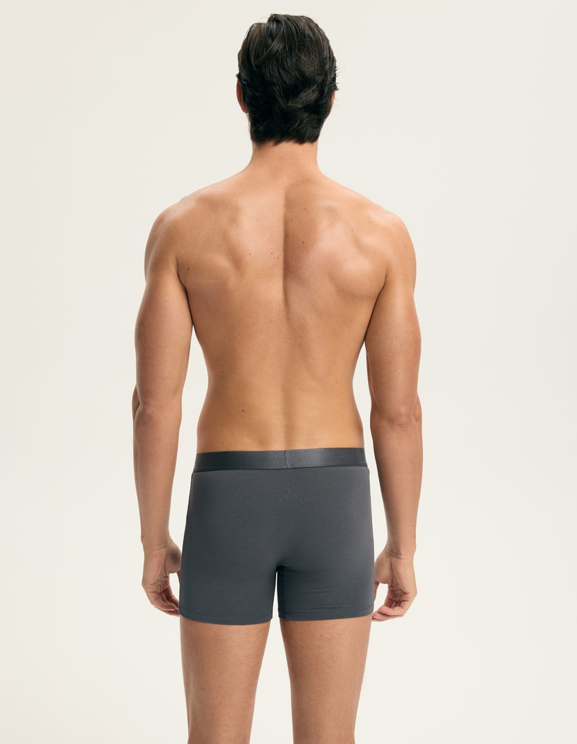 Boxer shorts Arch Multi 4