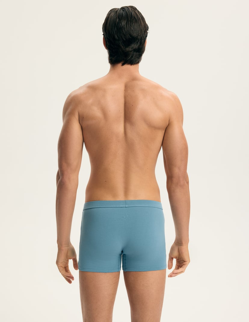 Bokserki Aspen (Trzypak) Мульти 8