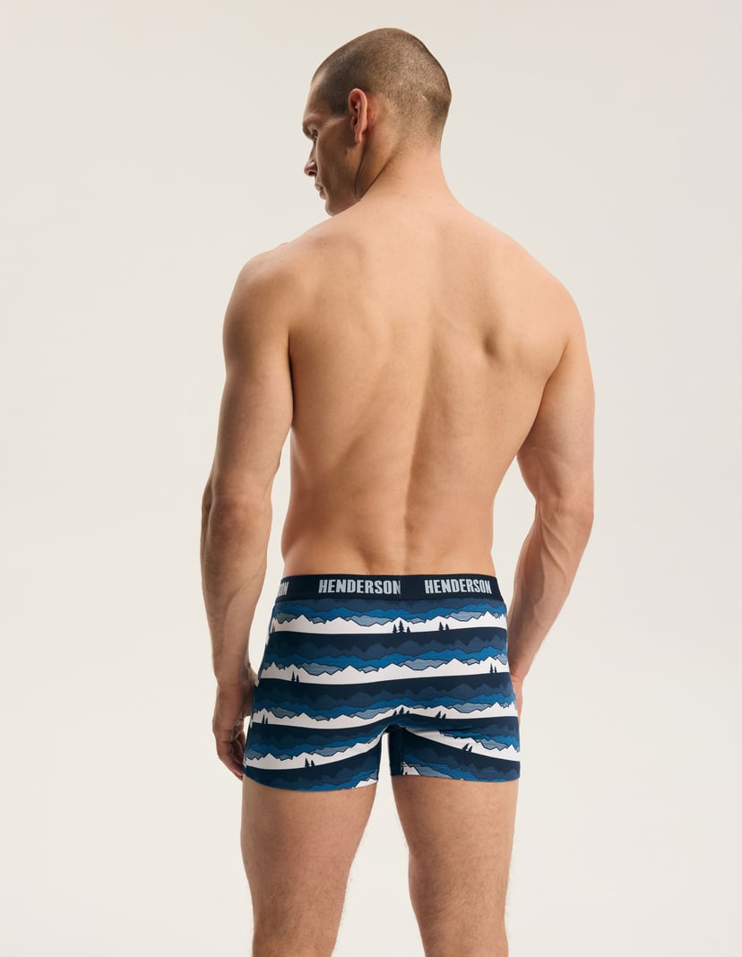 Two-Pack Cotton Boxers FROST Multi 4