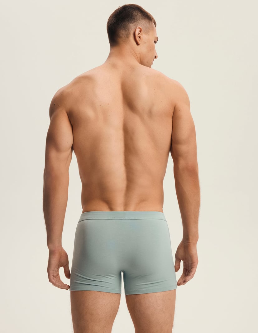 Bokserki Main 3-pak Мульти 3