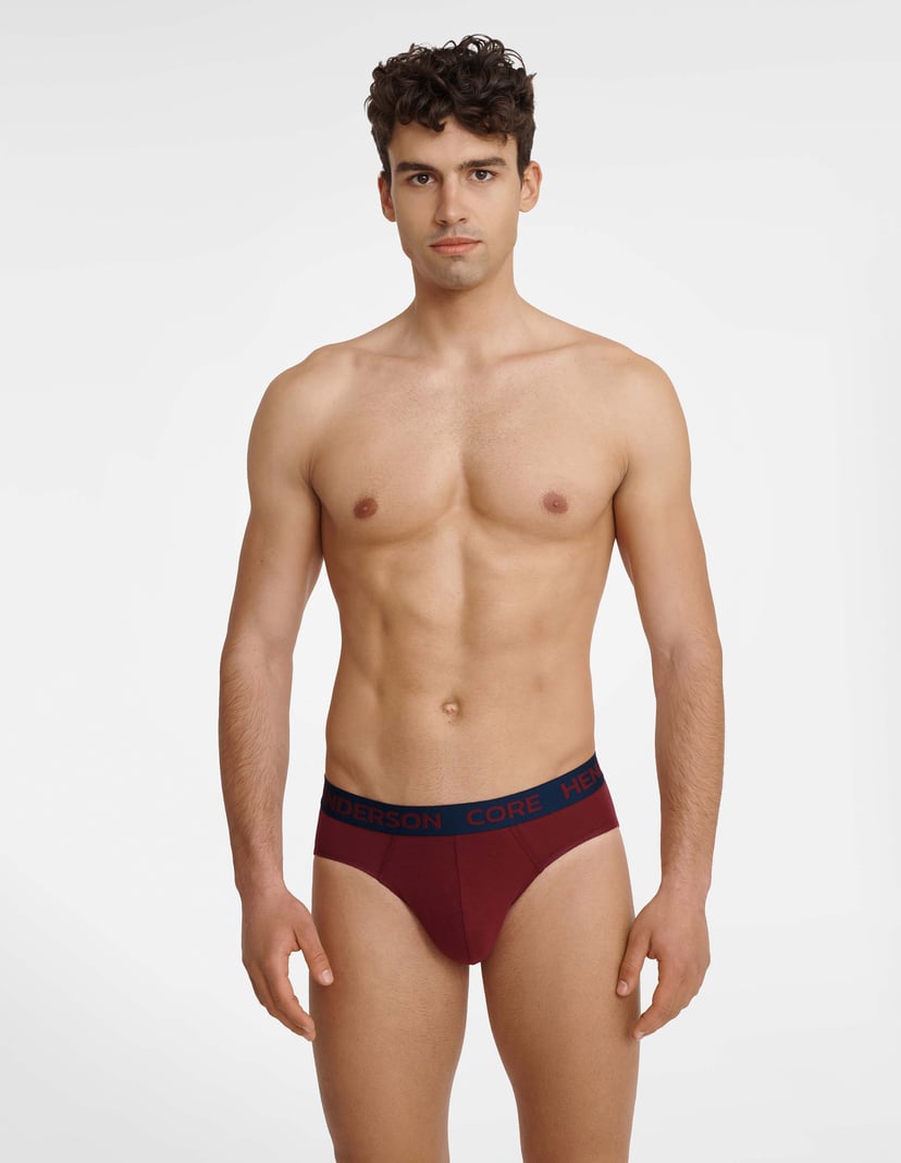 Briefs Insert 2-pack Multi 1