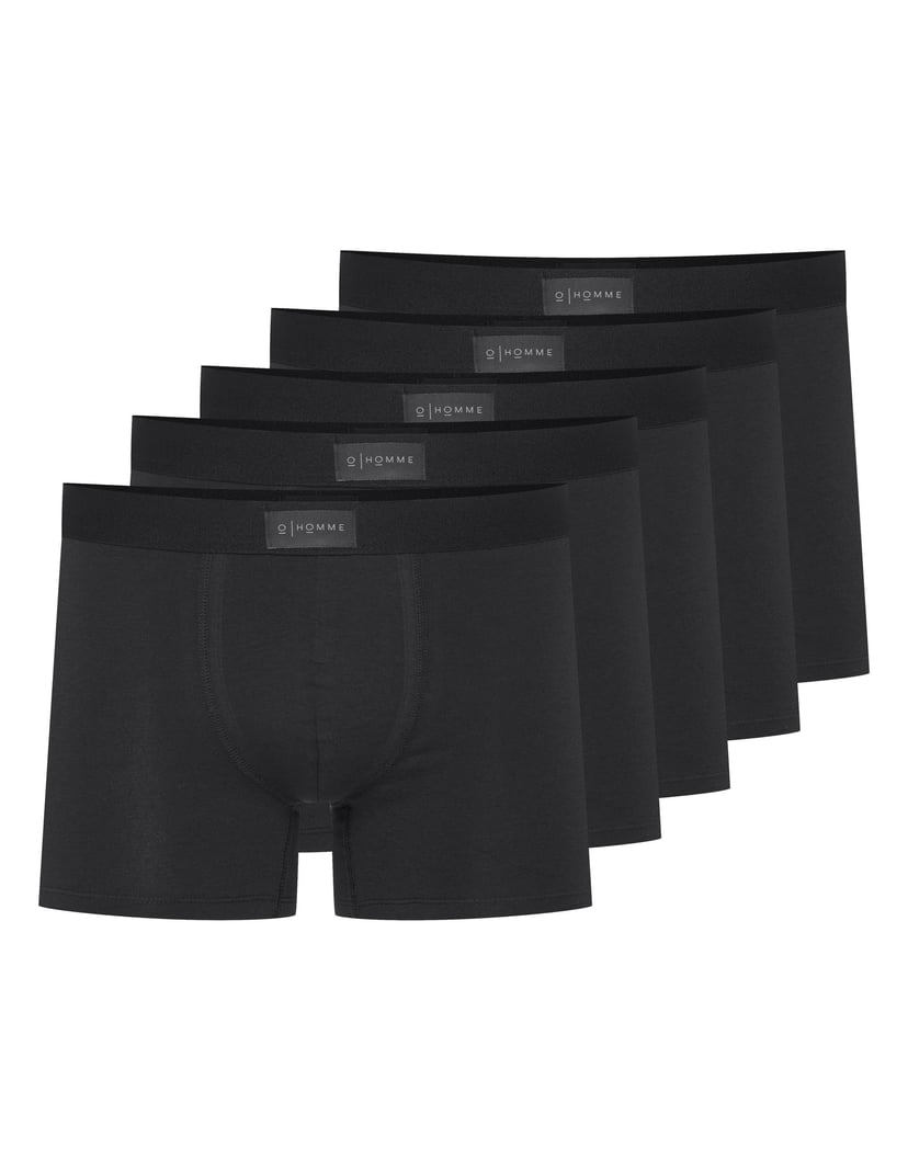 Boxers Sage (Five-pack) Multi 5